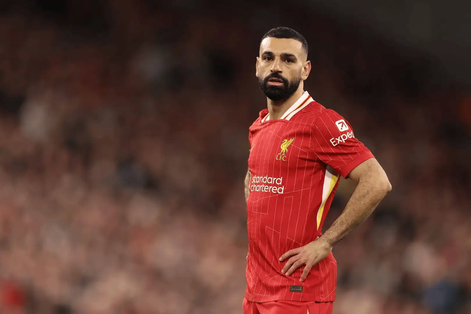 注册入口萨拉赫新星表现优异表现突出，快船前途光明！的简单介绍